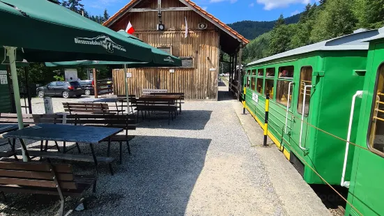 Bieszczady Forest Railway