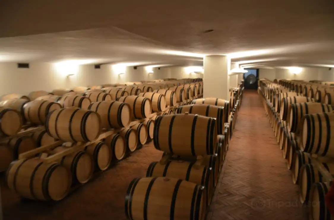 Hotel in zona Fontodi