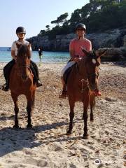 Menorca a Caballo