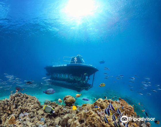 特魯歐克比赫斯 自由行套票