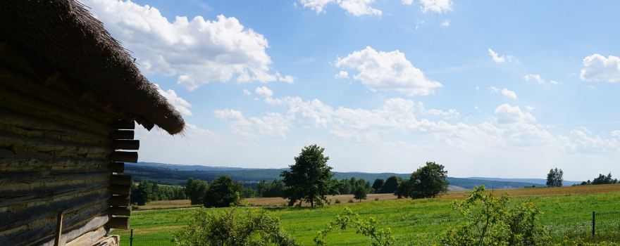 Medieval Settlement