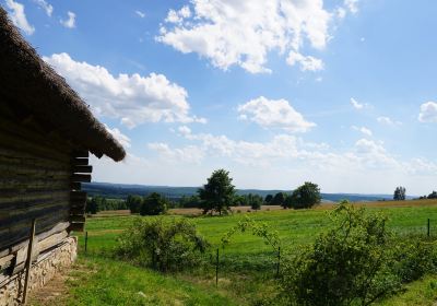 Bieliny