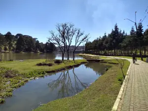 Lake Araucárias