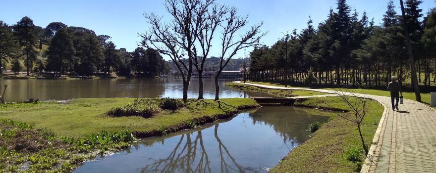 Lake Araucárias