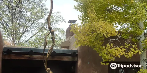 The Longworth Gallery