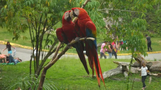 Zoologico de Caricuao