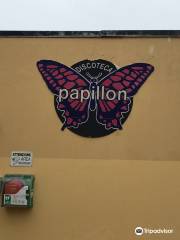 Disco Papillon 78