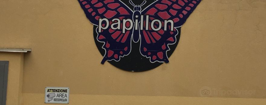 Disco Papillon 78