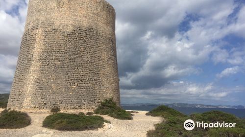 Torre De Ses Portes