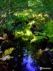 Wild Gardens of Acadia