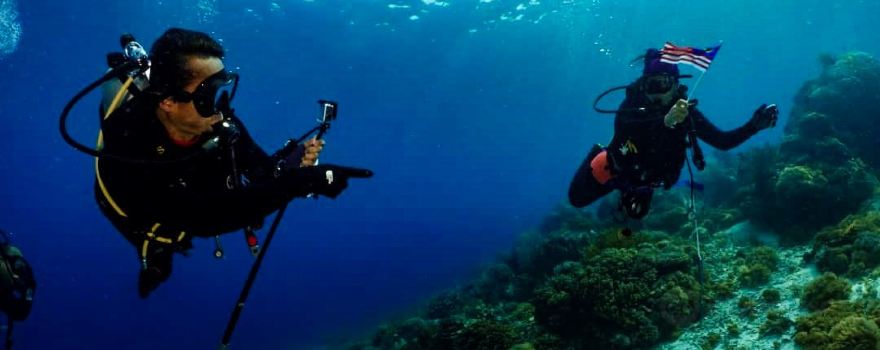 CN Dive Komodo