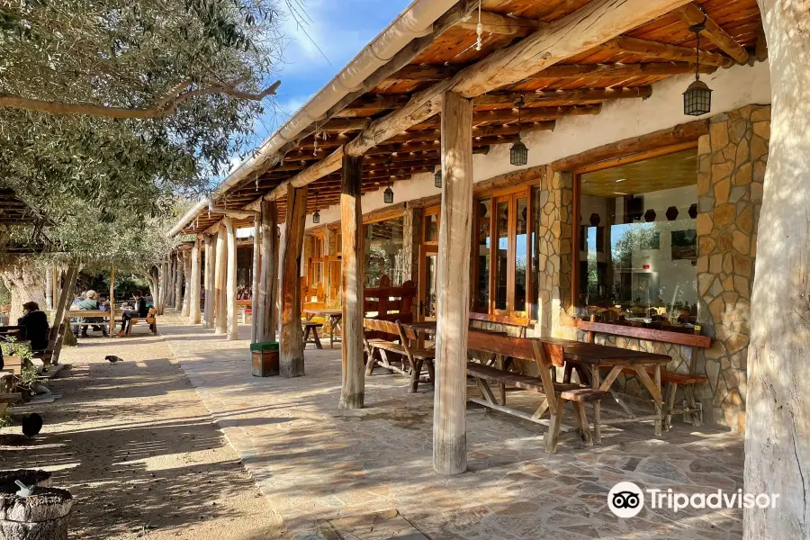 Rancho Cortesano - Museo de la Miel