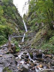 Eifersbacher Waterfall Wanderweg