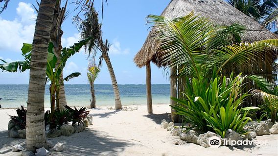 Maya Chan Beach