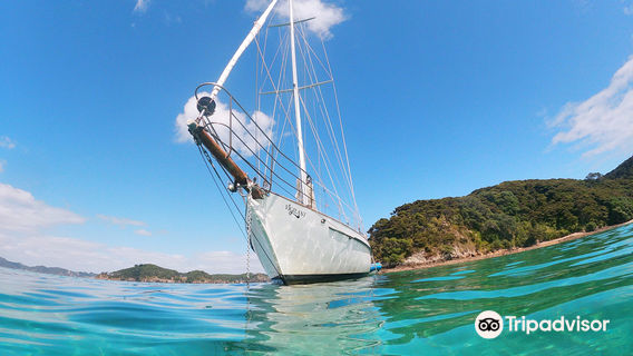 Vigilant Yacht Charters Ltd