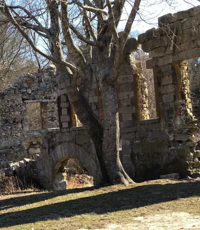 Acushnet
