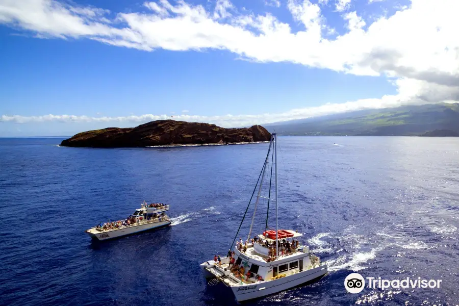 Maui Classic Charters