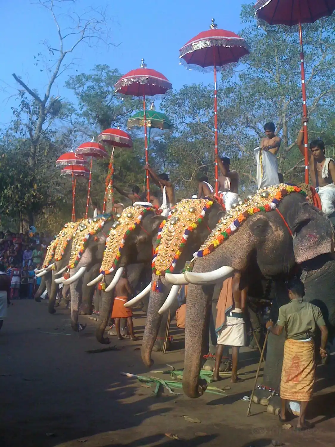 Kodungallur Bhagavathi Temple附近的飯店