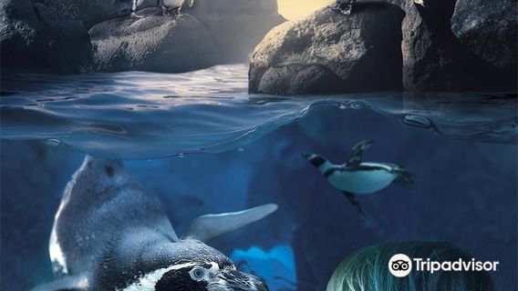 Sea Life Blankenberge