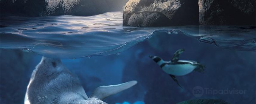 Sea Life Blankenberge