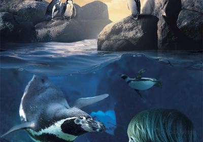 Sea Life Blankenberge