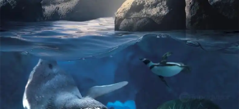 布蘭肯貝爾赫酒店