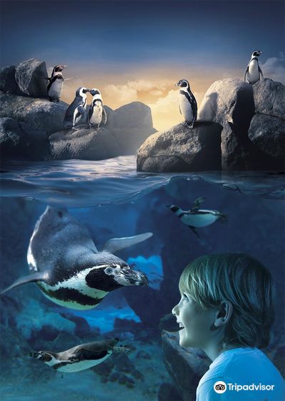 Sea Life Blankenberge