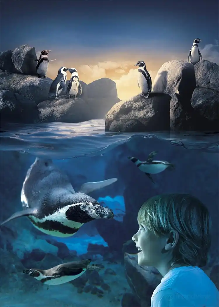 Hotels in Blankenberge