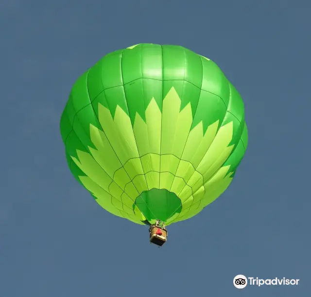 Hot Air Ballooning in Sydney
