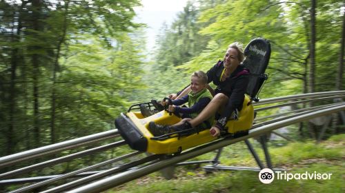 Alpine-Coaster-Golm