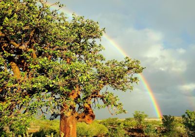 Waikōloa Dry Forest Initiative