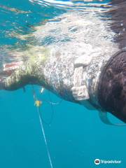 SPOT FREEDIVE - Freediving Portugal