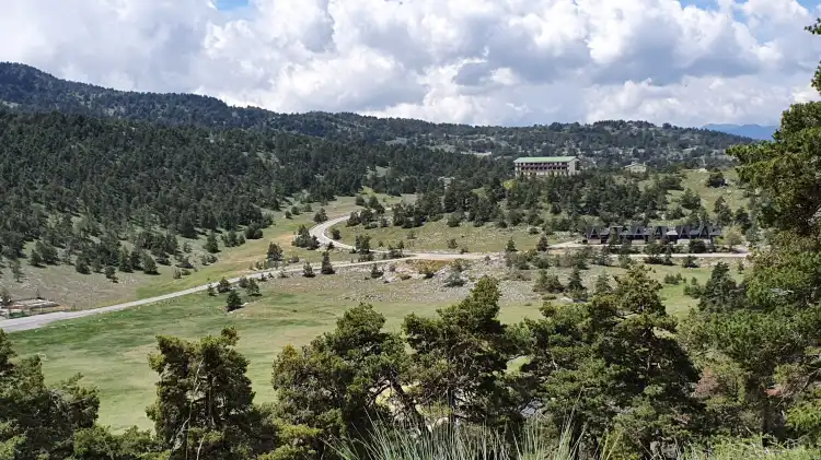 格雷奧利埃