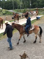 Paradise Riding Stables