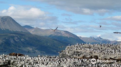 Isla de Los Pajaros