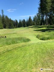 Gold Mountain Golf Club