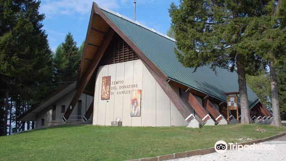 Temple International Donor