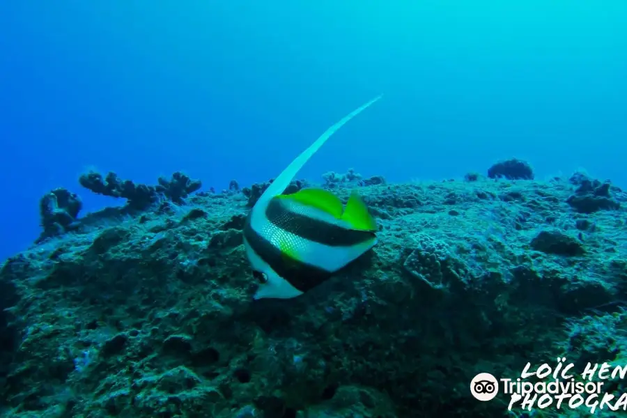 TICABO Diving Centre