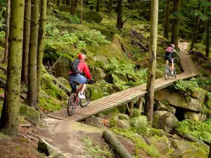 Rychleby Trails