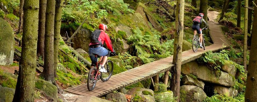 Rychleby Trails