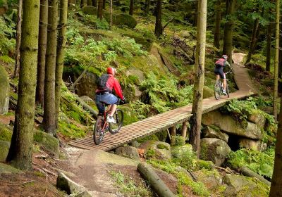 Rychleby Trails