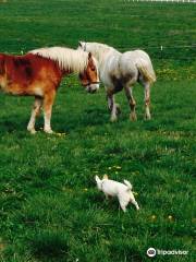 Brookdale Farms