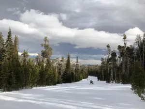 Snowy Range Ski Area