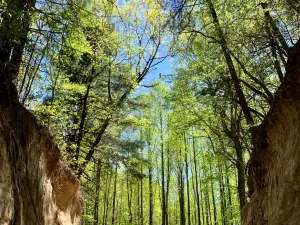 Jumping Off Rock Overlook