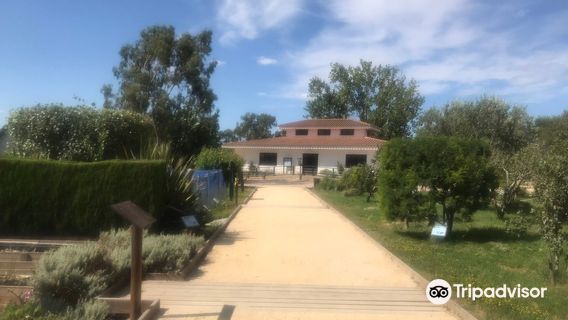 Parc Natural del Delta de l'Ebre