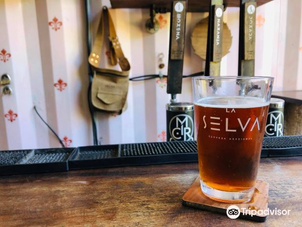 La Selva Cerveza Artesanal Brewery