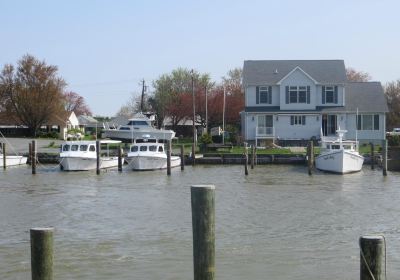 Phillips Wharf Environmental Center