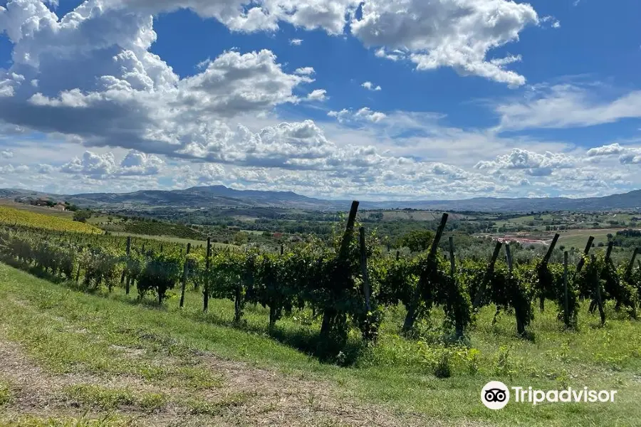 Cantine Ruggiero