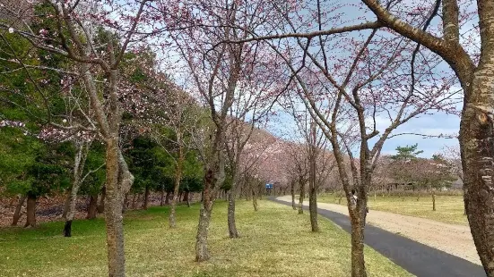 Kintaro Pond