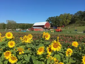 Enchanted Valley Acres